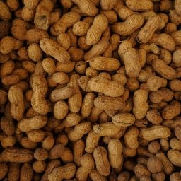 A pile of peanuts.