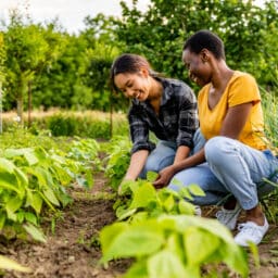 Couple gardening together