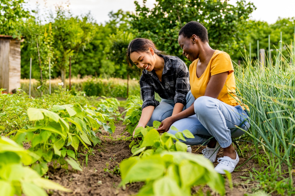Couple gardening together