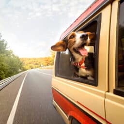 Road trip!