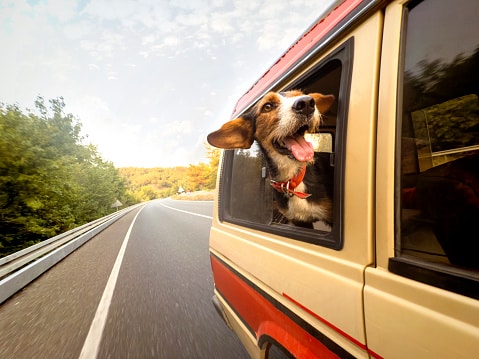Road trip!