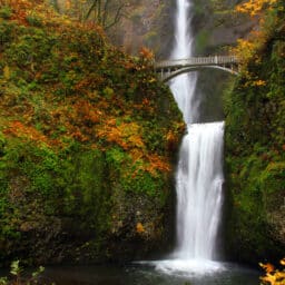 Picture of Multnomah Falls in Oregon showing the Bridge, Falls full of water, and trees turning Fall colors