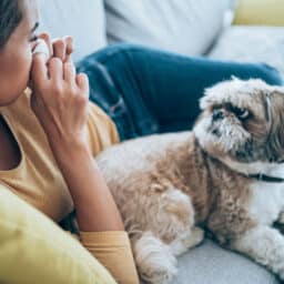 Sick young woman lying on the couch with her cute pet dog and blowing her nose. Ill woman lying on the sofa with high temperature.
