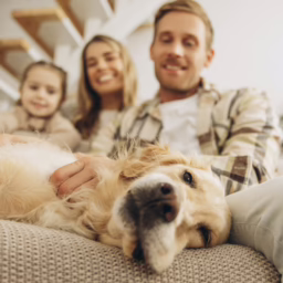 Happy family sitting on the couch petting a very happy dog, golden retriever